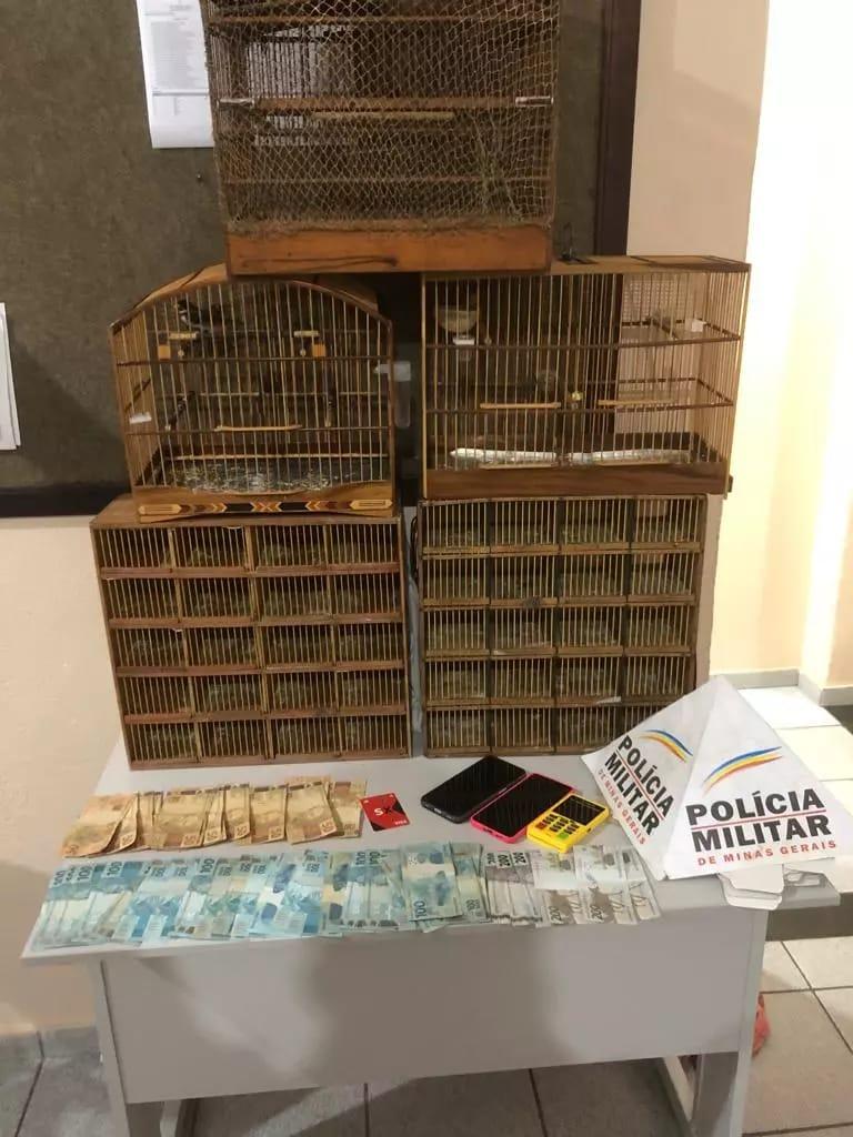 POLÍCIA APREENDE CASAL POR PORTE ILEGAL DE ANIMAIS SILVESTRES EM SANTOS DUMONT