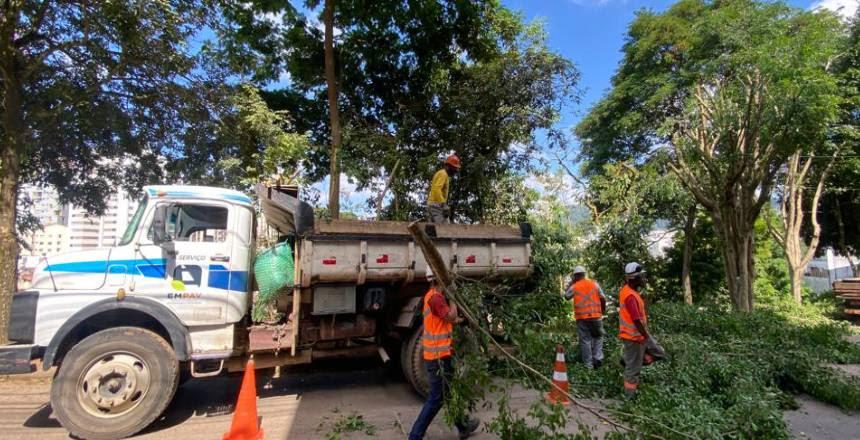Prefeitura realiza quase cem podas preventivas de árvores nos últimos cinco dias