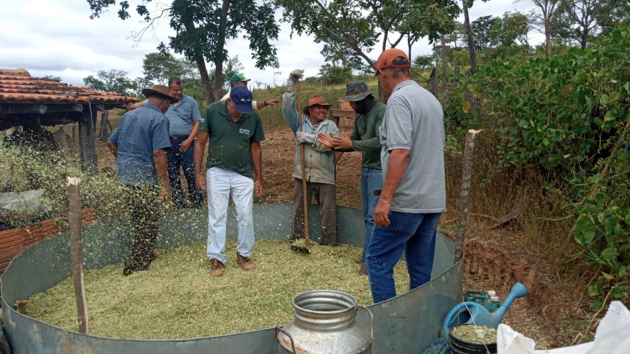 Emater-MG orienta produtores do Norte de Minas sobre alimentação do gado na época da seca