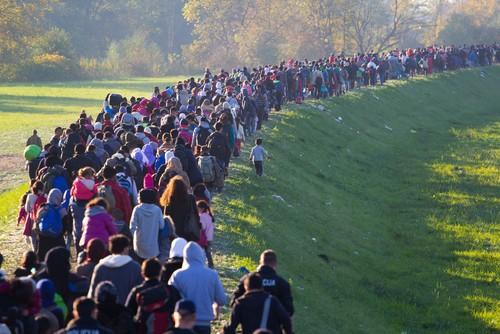 Inscrições para a 1ª Conferência Nacional Livre de Saúde das Populações Migrantes se encerram no domingo, 30