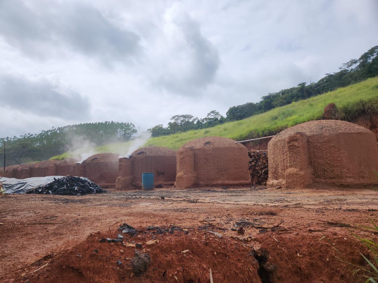 Moradores do Prainha de Monte Verde reclamam de carvoaria há menos de 1 km do bairro