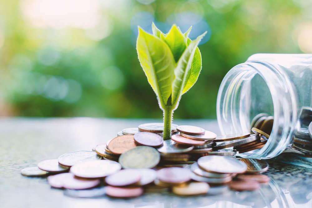 BDMG avança no apoio à economia sustentável