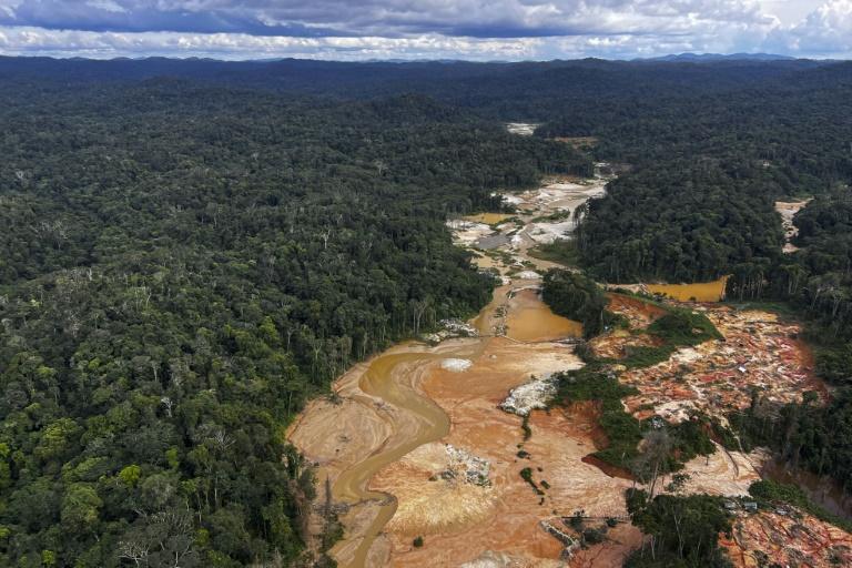 Desmatamento na Amazônia tem queda de 68% em abril em relação a 2022