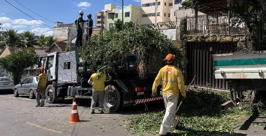 Diversos pontos da cidade são atendidos com limpeza e poda de grama e árvore nesta semana