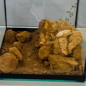 Ovos pré-históricos encontrados durante obra em rodovia serão estudados pela Uemg
