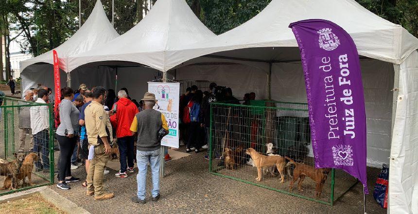 Adoção Responsável: Nove Pets Recebem Novo Lar em Evento do Canil Municipal