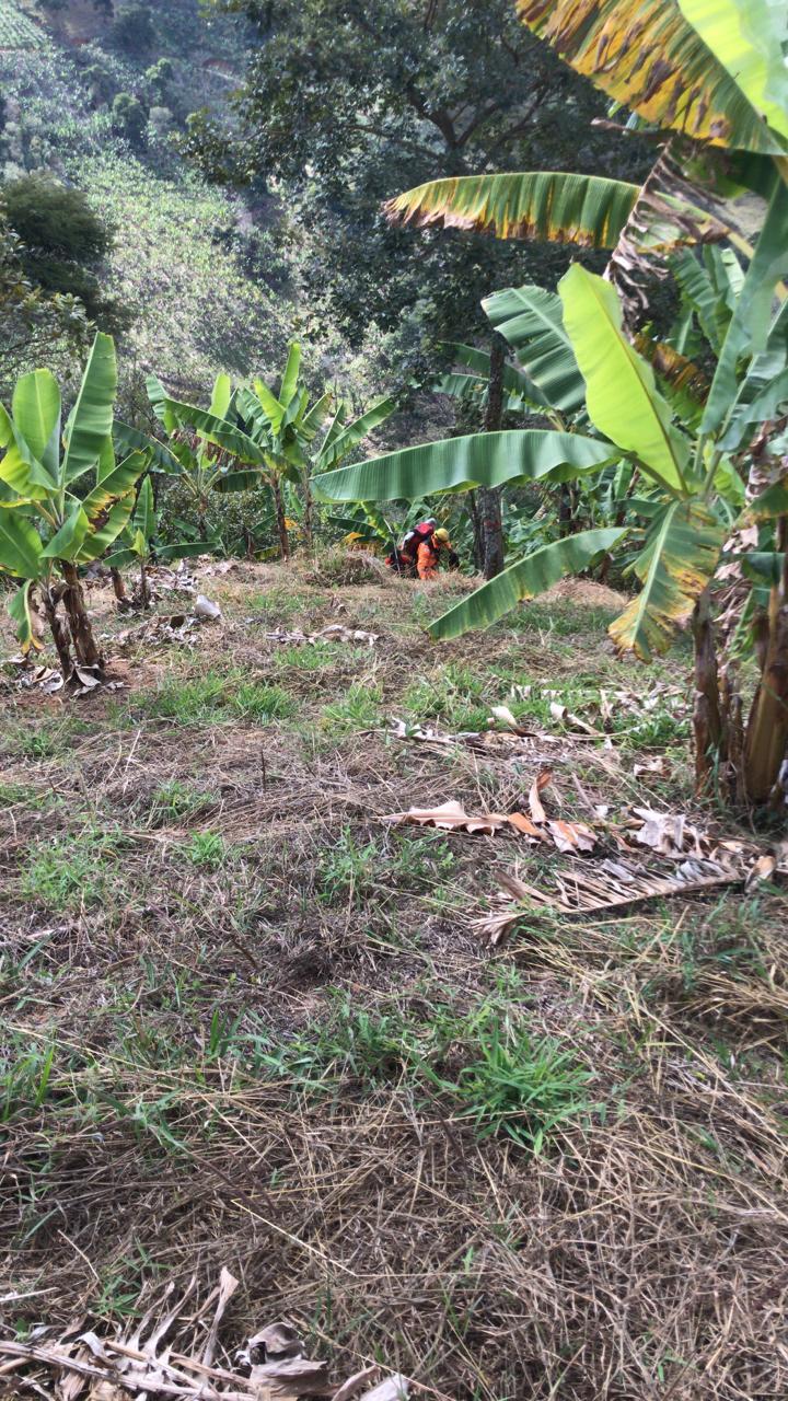 Bombeiros resgatam cão que estava caído em uma Pedreira no município de Santa Bárbara do Tugúrio
