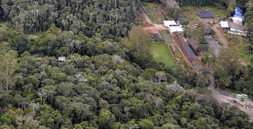 No Dia Mundial do Meio Ambiente, PJF entregará presentes ambientais para a cidade