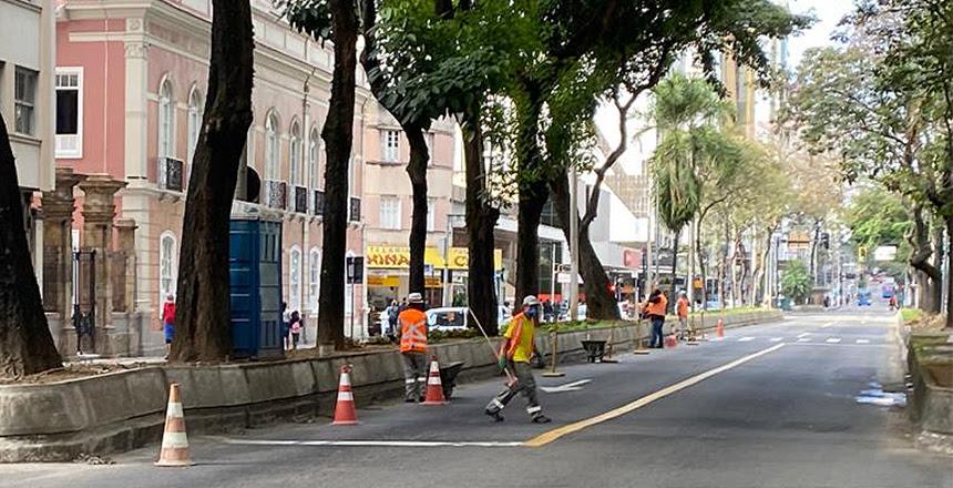 PJF avança na revitalização dos canteiros da Avenida Rio Branco