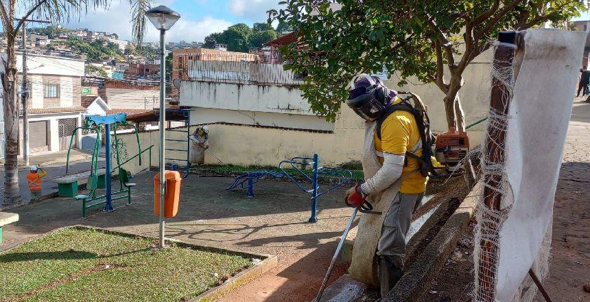 Juiz de Fora intensifica cuidados com áreas verdes e promove arborização na cidade