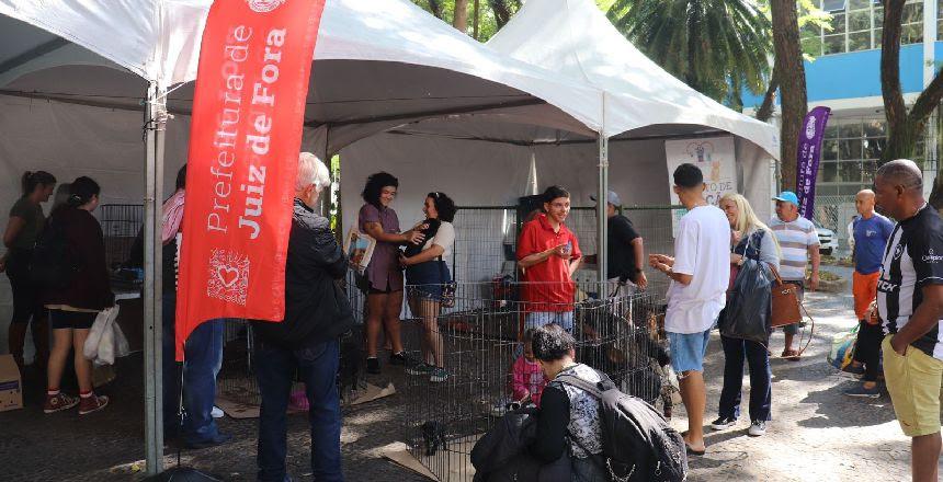 Mais de cem pets são adotados nos eventos do Canil Municipal no primeiro semestre