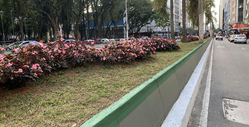 PJF avança na revitalização dos canteiros centrais da Avenida Rio Branco