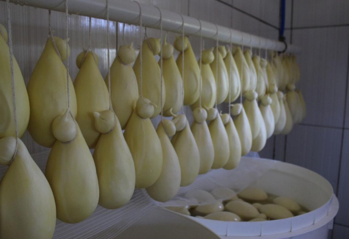 Queijo Cabacinha é reconhecido como patrimônio cultural e imaterial de Minas Gerais
