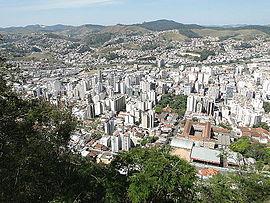 Ação do MPMG requer que estado e município estabeleçam protocolos para captura e abrigamento de cães de grande e médio porte, em Juiz de Fora