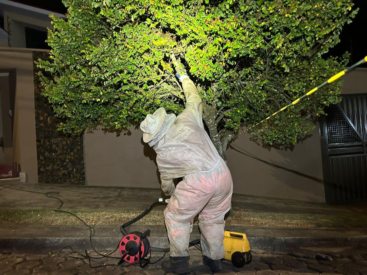 Bombeiros fazem a retirada de enxame intinerante de abelhas em Barbacena