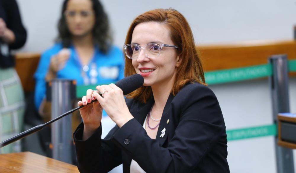 Deputada Ana Pimentel (PT-MG) preside audiência pública sobre violência contra a mulher