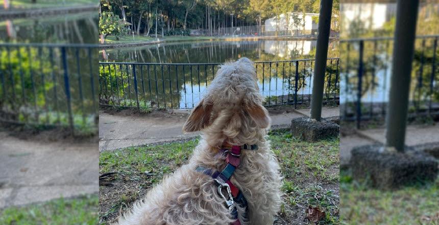 Parque Municipal da Prefeitura de Juiz de Fora recebe evento 