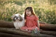 Quais raças de cães que convivem melhor com as crianças?