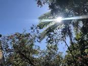 Após recorde de calor, frente fria afeta São Paulo nesta semana