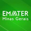 Veja o que o pequeno produtor pode fazer com crédito em Minas Gerais