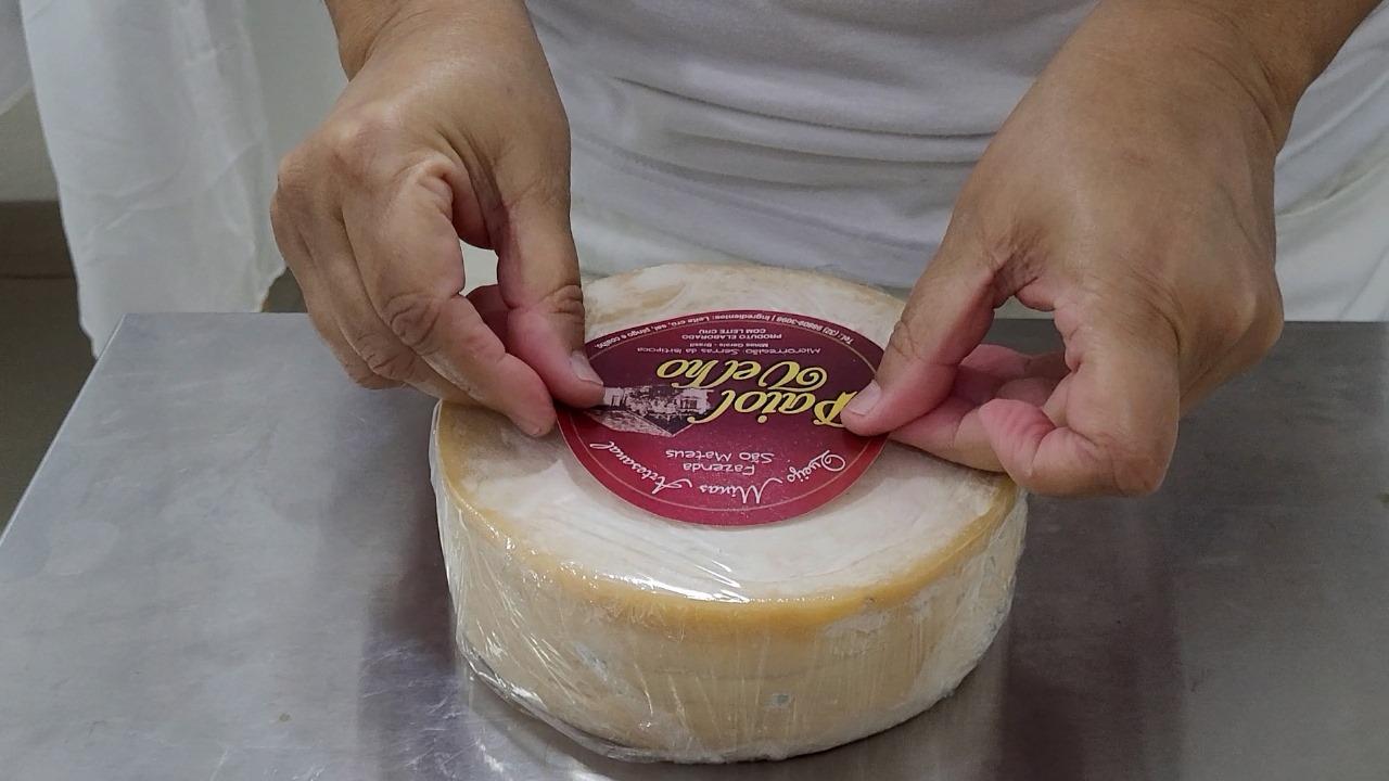 Investimento do Governo de Minas em pesquisas valoriza o queijo mineiro, garante a qualidade e melhora a renda das famílias