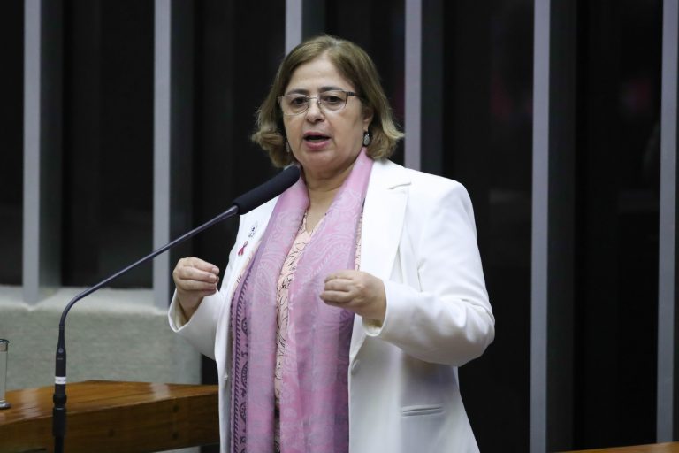 Ministra das Mulheres fala sobre programas do ministério em audiência na Câmara