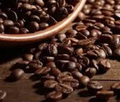 O universo do café é tema do Brasil das Gerais, da Rede Minas, desta segunda (11)