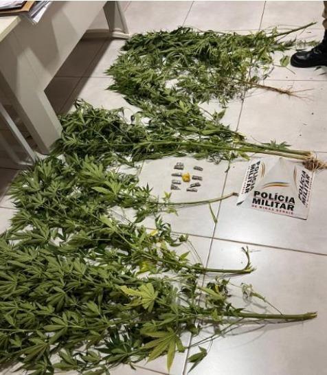 Prisão por tráfico de drogas em Nazareno: indivíduo é detido com plantas e buchas de maconha