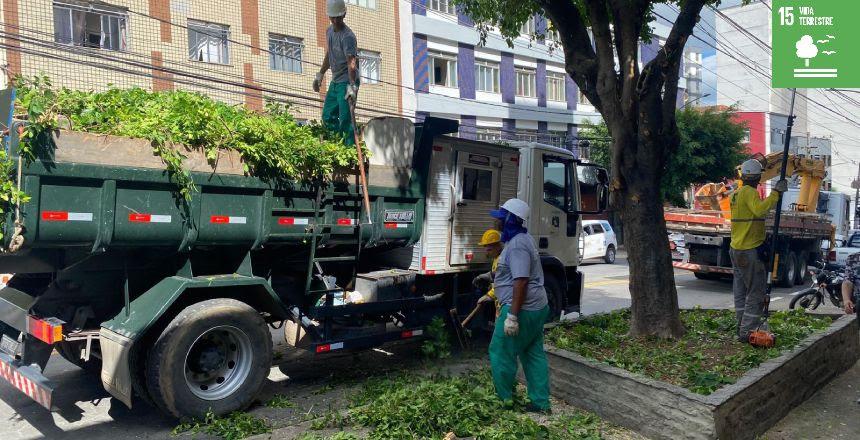 PJF segue com os serviços de podas preventivas de árvores em toda a cidade
