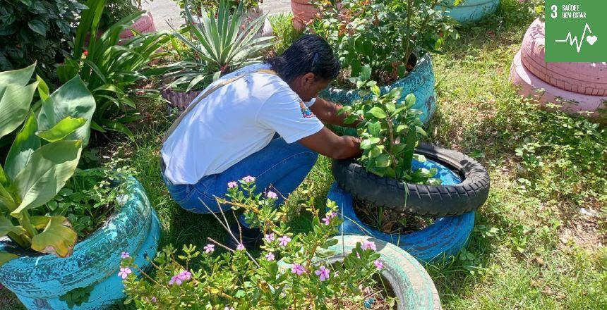 Prefeitura de Juiz de Fora Intensifica Ações Contra o Aedes aegypti: Confira a Rota Semanal dos Agentes de Combate à Endemias