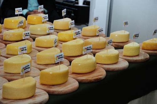 Concursos municipais de Queijo Minas Artesanal atraem turistas e gastrônomos em Minas Gerais