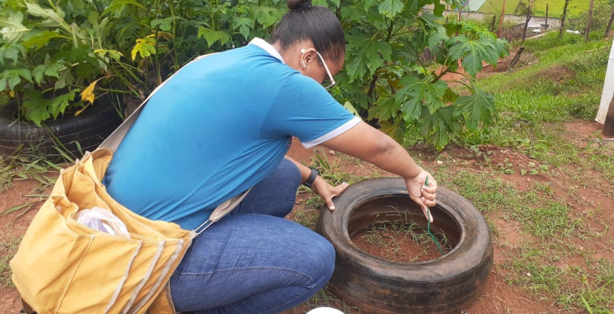 “Combate ao Aedes aegypti: Ação Conjunta na Comunidade”