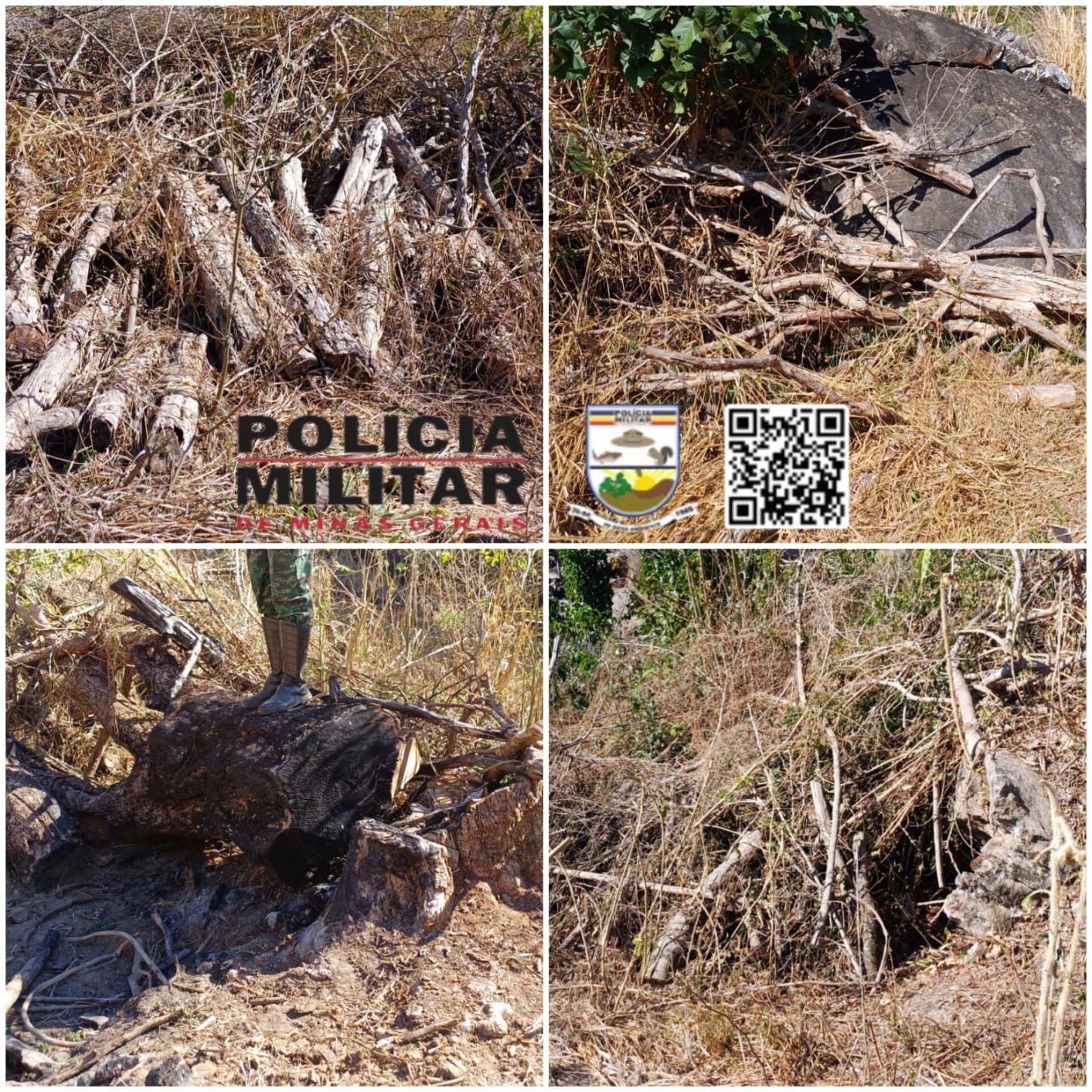 Ação da Polícia Ambiental em Leopoldina Resulta em Multa de Mais de R$ 10 Mil por Desmatamento Ilegal