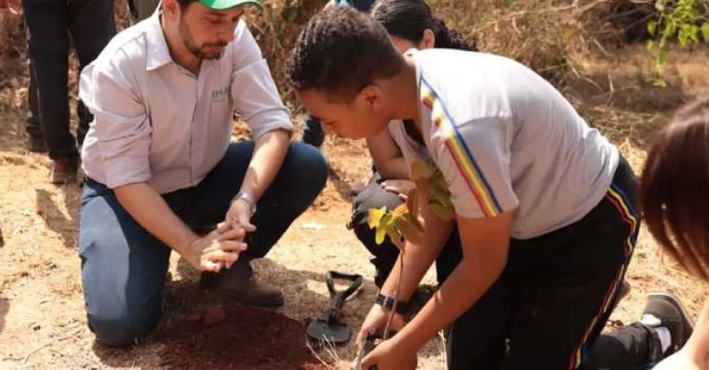 Minas Gerais planta 1,6 milhão de mudas e restaura biomas em ação inédita