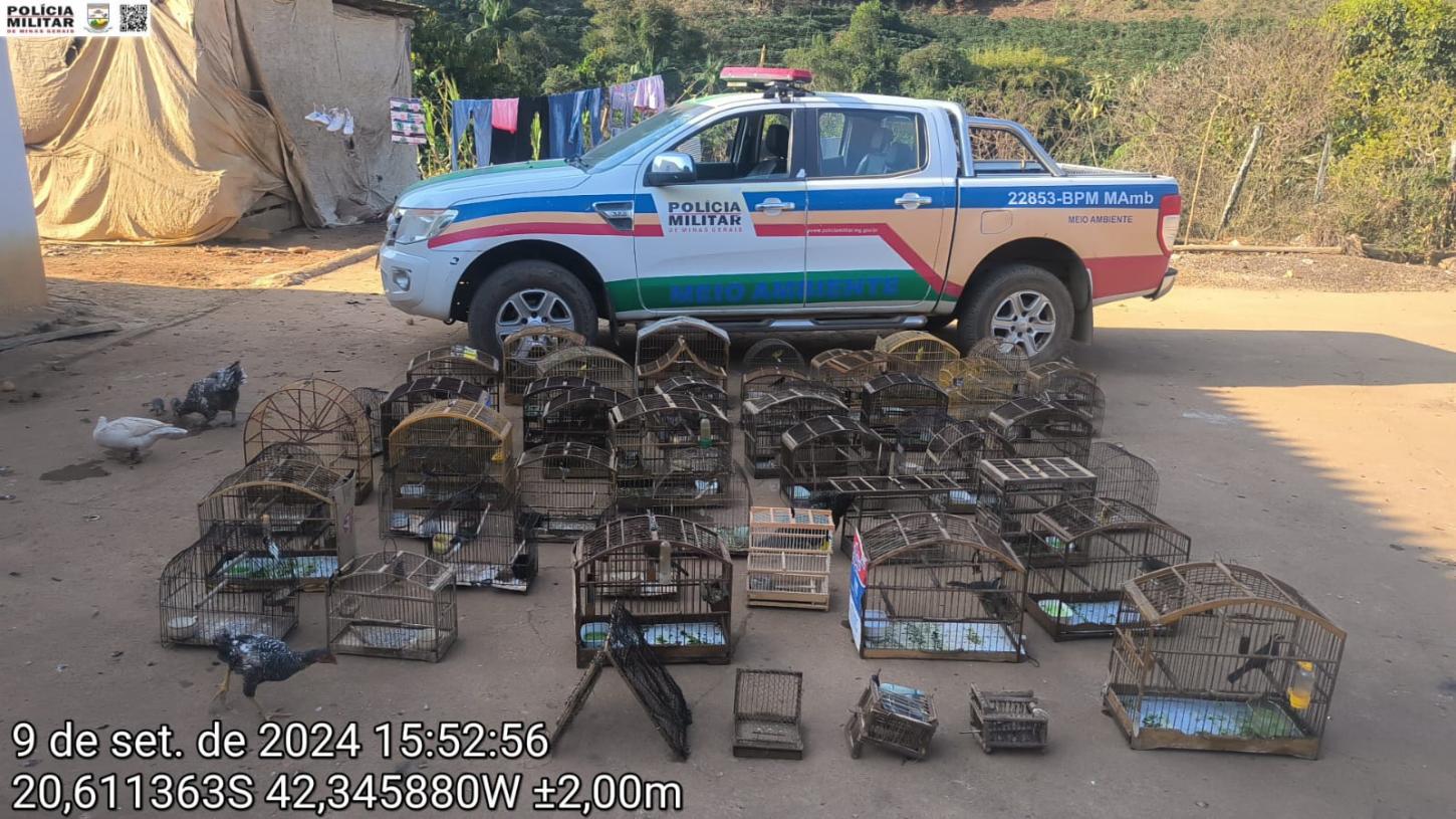 Polícia Militar de Meio Ambiente encontra grande quantidade de gaiolas com pássaros em cativeiro