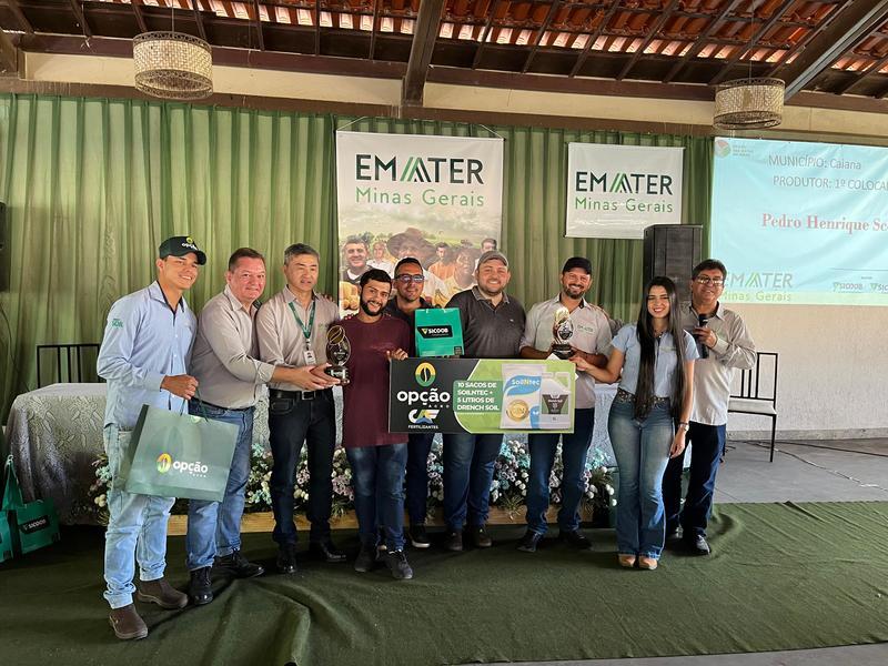 Campeões Terras Baixas