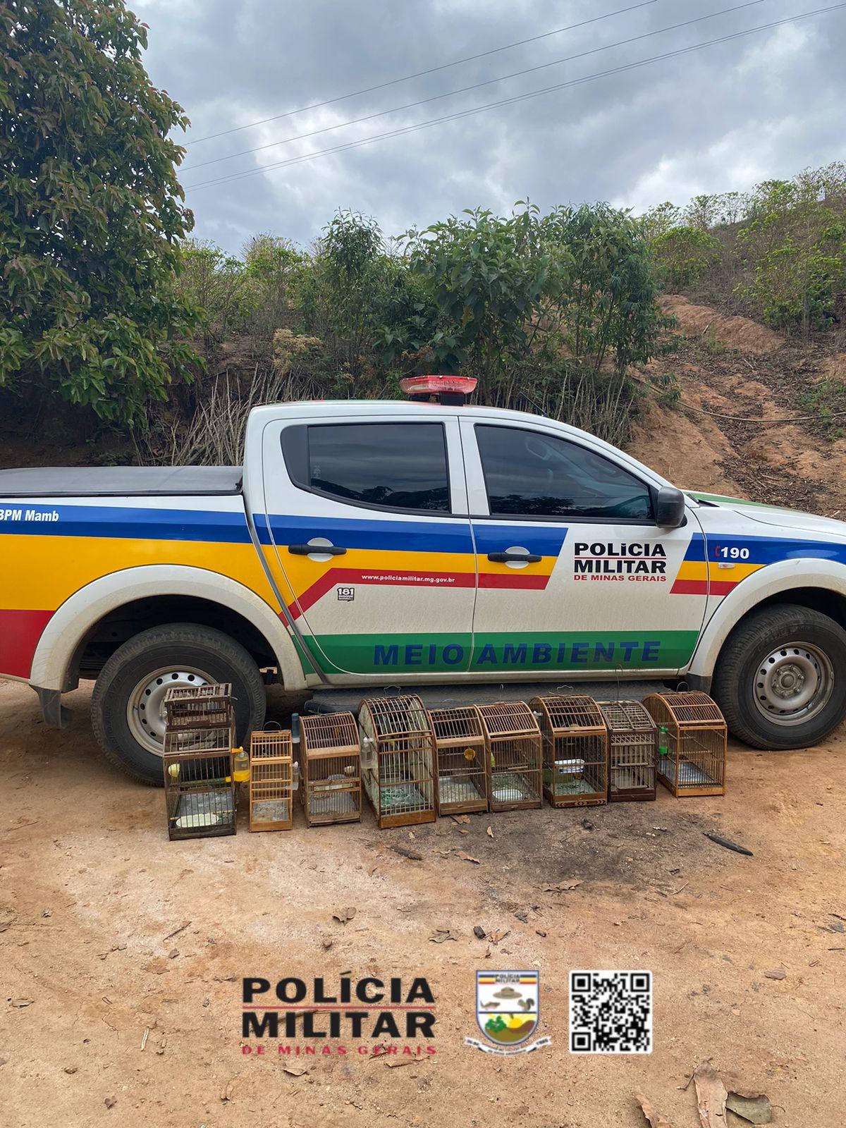 Operação da Polícia Militar de Meio Ambiente resulta em prisão por posse ilegal de armas e fauna silvestre