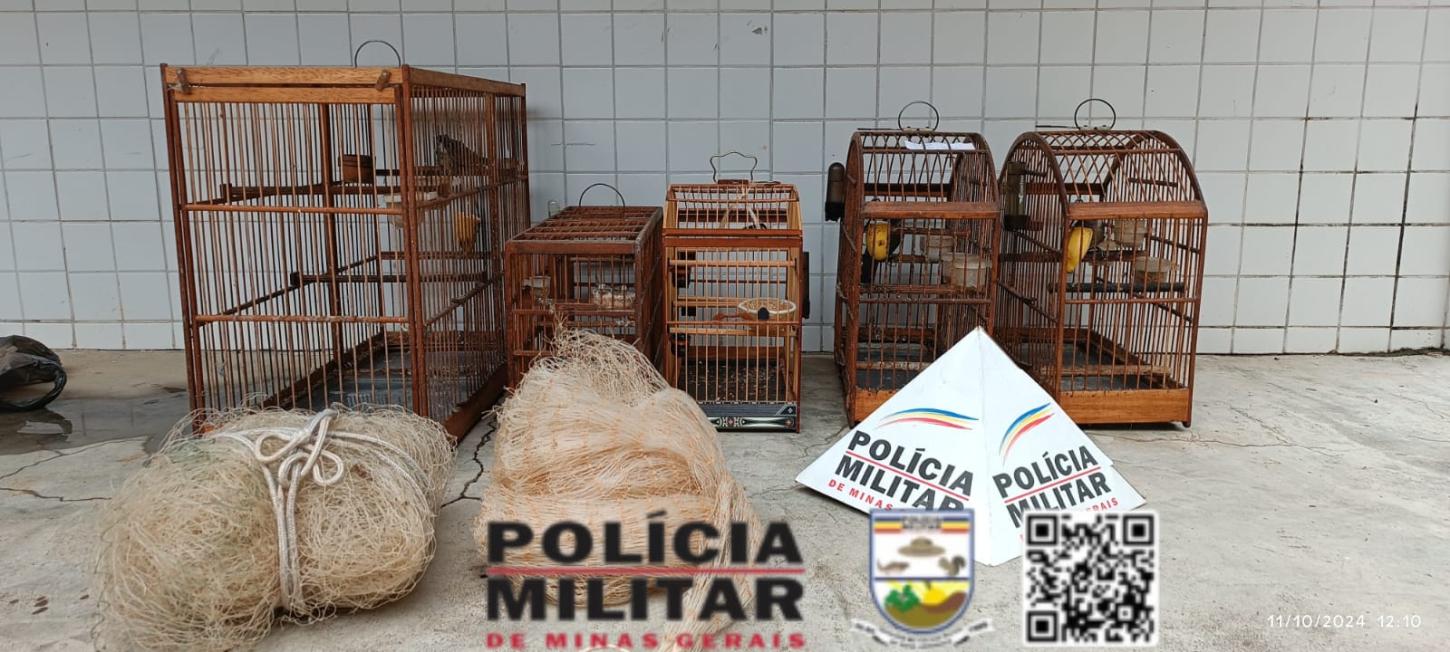 Polícia Militar do Meio Ambiente age em Astolfo Dutra e apreende aves em cativeiro irregular