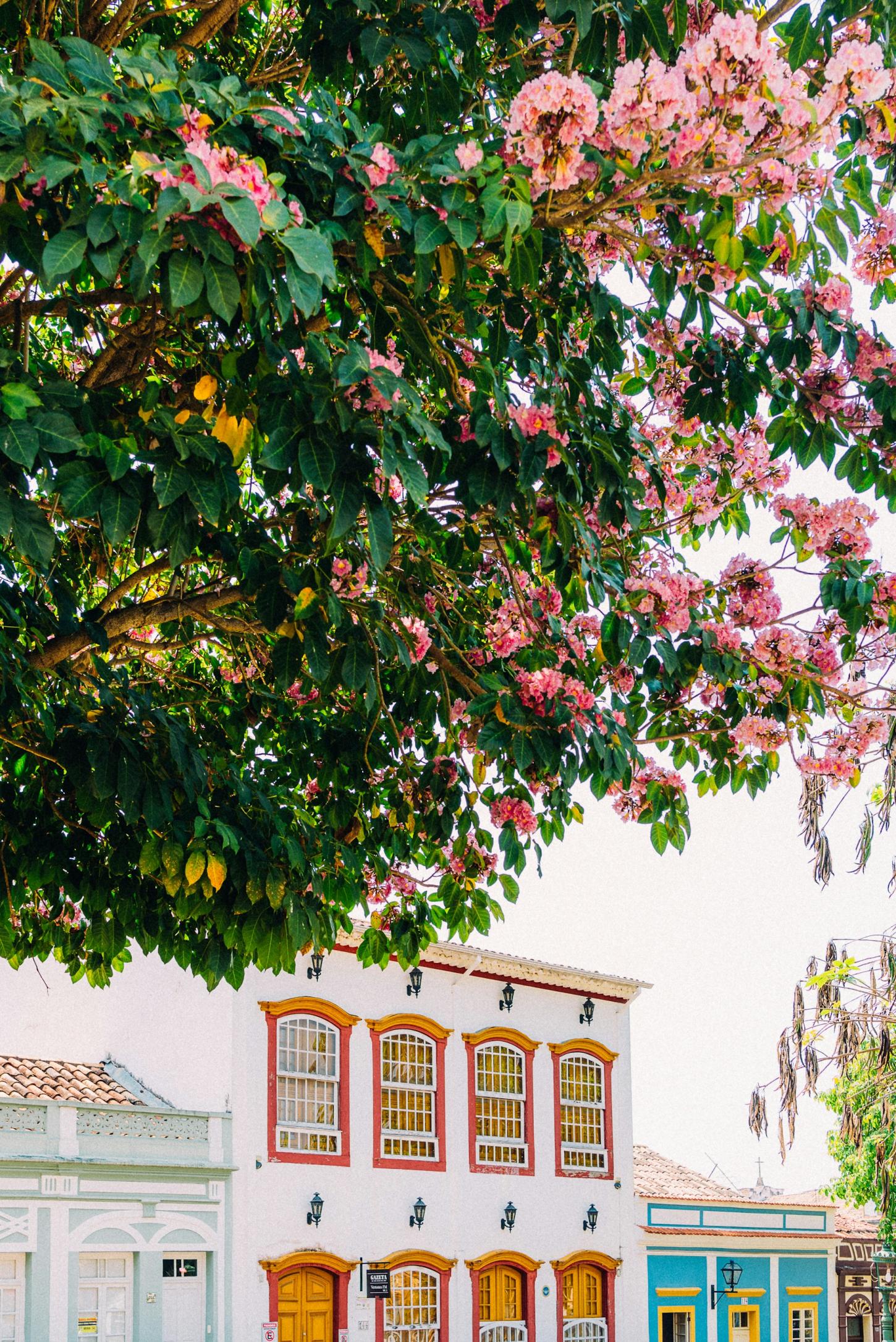 Como ir de Belo Horizonte a São João Del Rei: Descubra aqui!