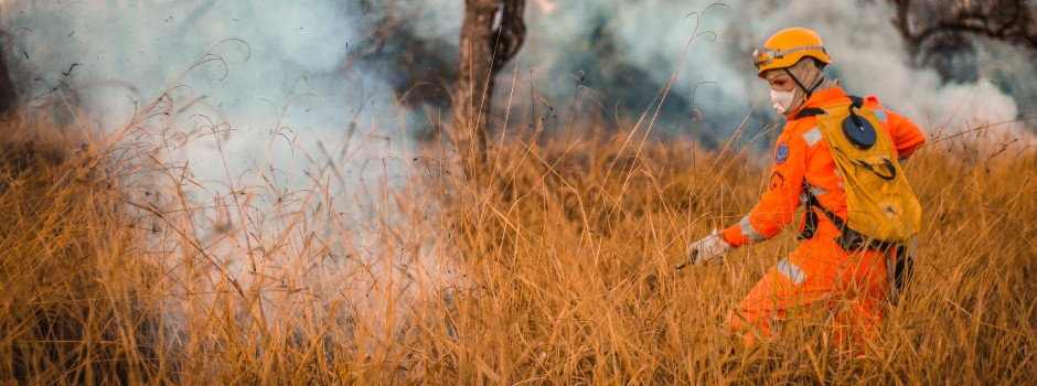 Corpo de Bombeiros de Minas Gerais registra redução de mais de 20% na área queimada em Unidades de Conservação em 2024