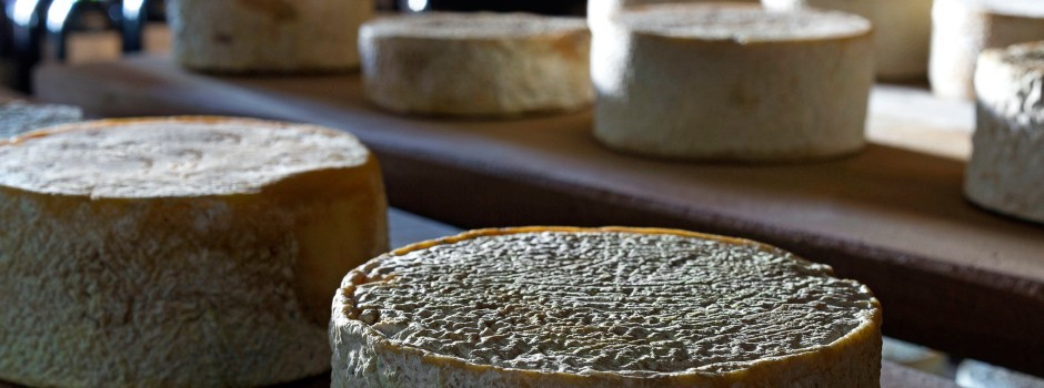 Minas Gerais Celebra a Tradição Queijeira: Lançamento das Rotas do Queijo da Canastra e do Serro no Festuris