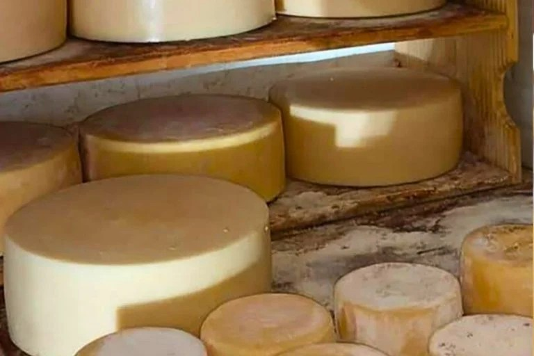 Celebração do Queijo Minas Artesanal como Patrimônio Cultural Imaterial da Humanidade será embalada ao som de 