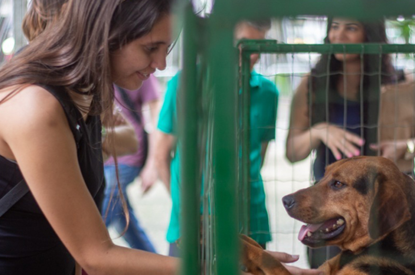 Canil Municipal promove evento de adoção e ações de cuidado animal neste sábado