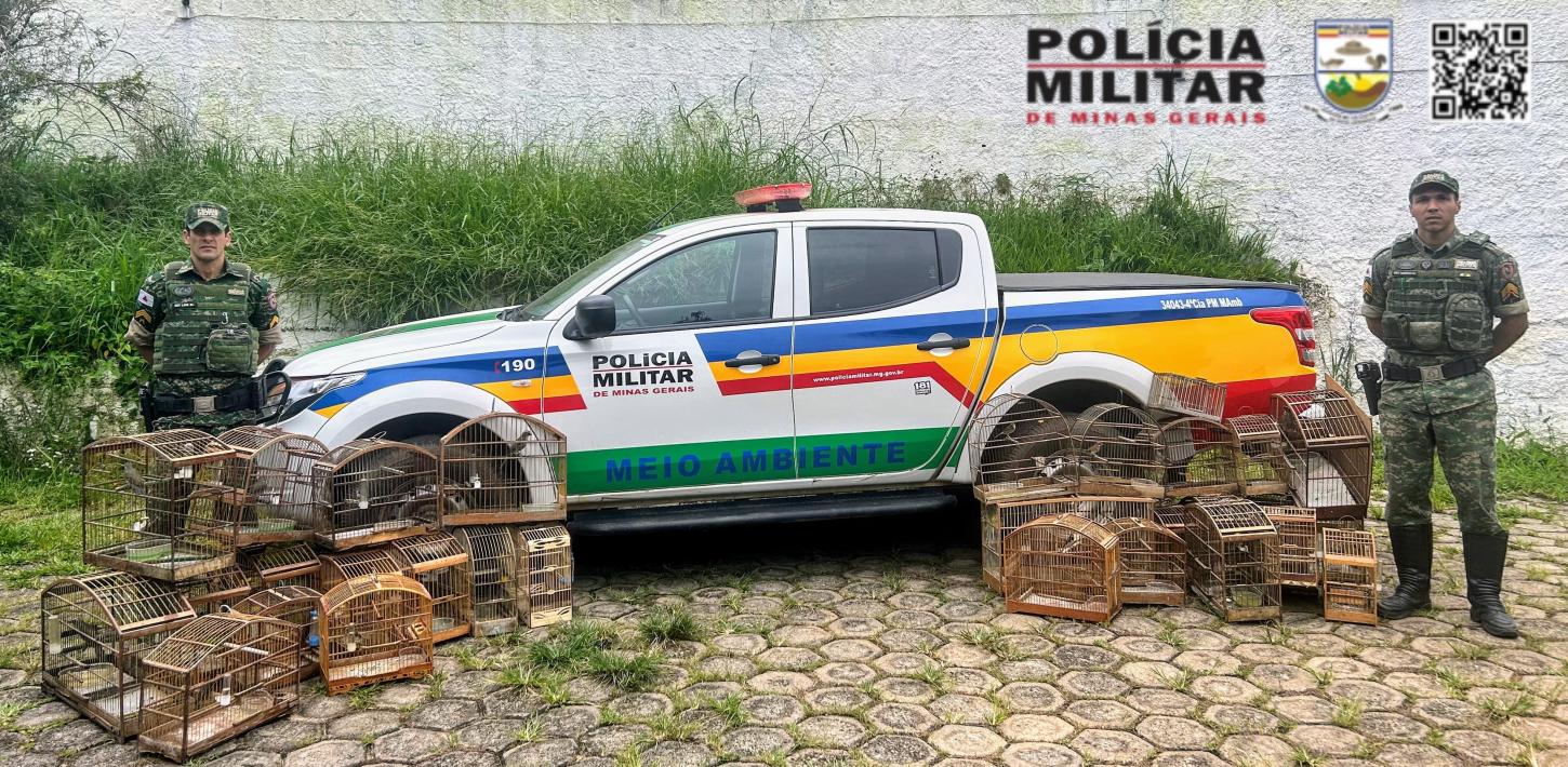 Denúncia Anônima Desencadeia Grande Ação Contra Cativeiro de Pássaros em Viçosa