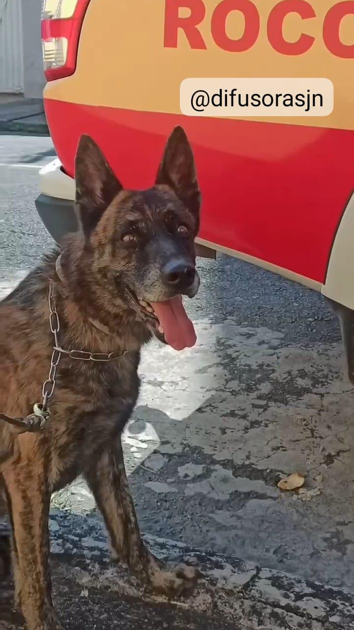 Polícia Militar intercepta traficante e apreende grande quantidade de drogas no bairro Retiro, em Juiz de Fora