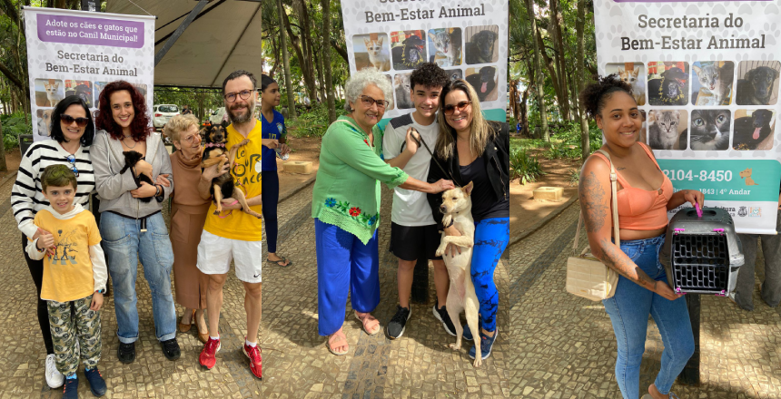 226 animais foram adotados no Canil Municipal em 2025