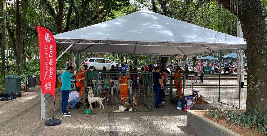 Parque Halfeld recebe evento de adoção responsável neste sábado, 7