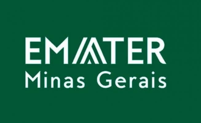 Agricultor familiar do Vale do Jequitinhonha transforma produção de cachaça em referência alambiqueira