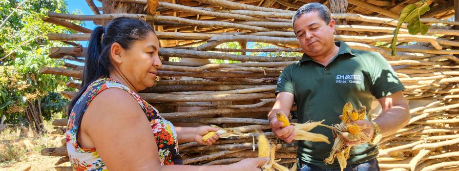 Agricultores familiares de Minas Gerais podem se inscrever no Garantia-Safra 2025/2026 até 21/10