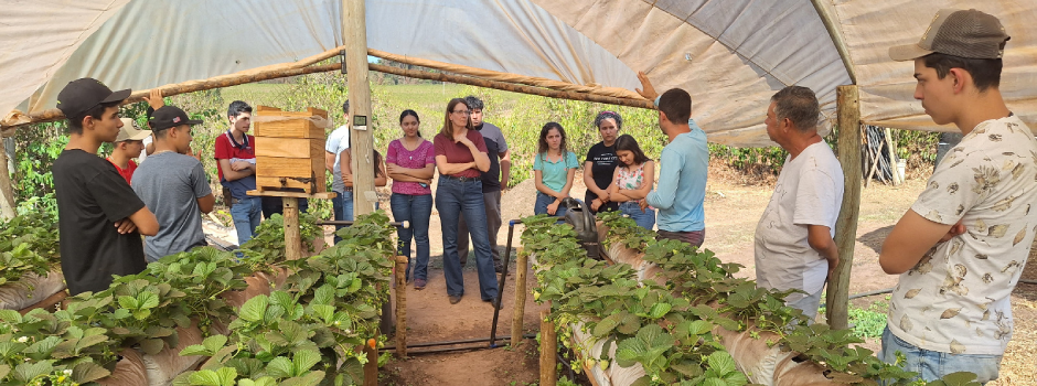 Claraval lidera compras da agricultura familiar